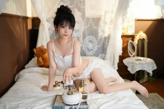 全球BT流量分布图